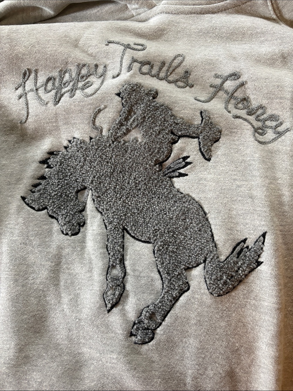Rodeo Quincy Gray Hooded Sweatshirt with Rodeo Graphic; Size XXL - Picture 5 of 9